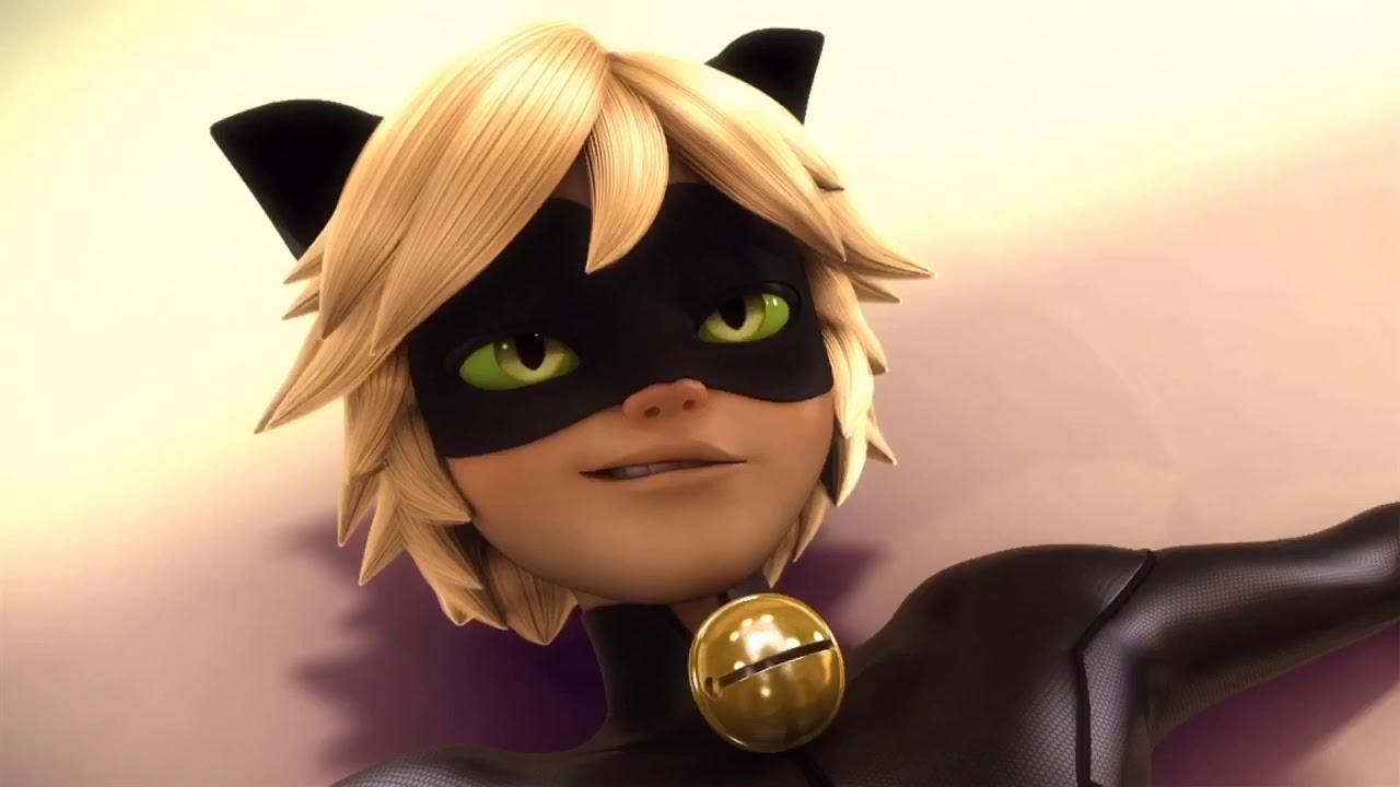 Cat noir hot