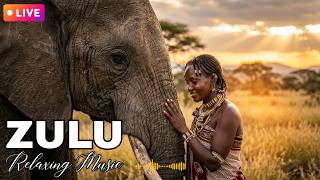 African Spiritual Healing Music | Zulu Ancestral Chants for Meditation &amp; Soul Cleansing