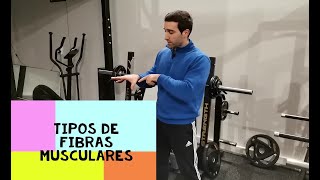 Tipos de Fibras Musculares : Conceptos básicos sobre el entrenamiento de fuerza