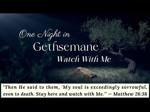 One Night in