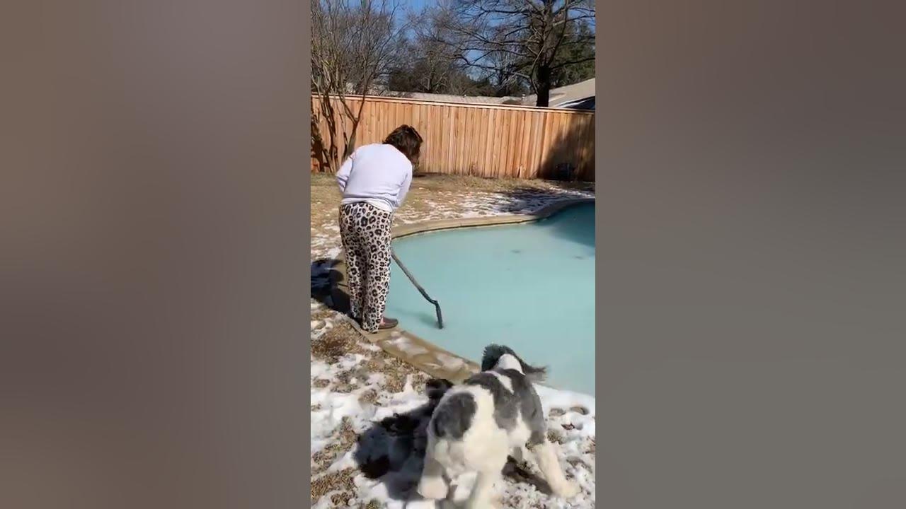 Орыс порносының тұрмыстық бұрмалануы Орыс тіліндегі дубляждағы жезөкше күнделігі