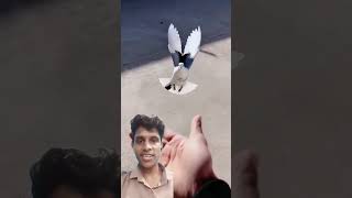#mashallah pachi udh ke bhai ke hath me chala aaya #ytshorts #islamicstatus