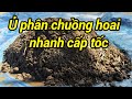 Cách ủ phân chuồng nhanh hoai mục / how to decompose cow dung manure