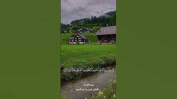 القارئ  : عمر بن عبدالعزيز