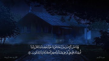 تلاوة قمة في الخشوع والهدوء 🥺❤ - ماتيسر من سورة الزمر || للقارئ سعد أزويت