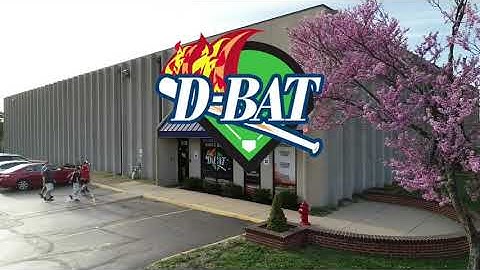 Inside Look at D-BAT