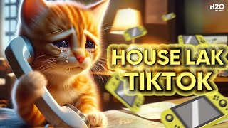 HOUSE LAK TIKTOK🎧NHẠC REMIX TIKTOK 2024🎧MIXTAPE DEEP HOUSE, VIET DEEP, HOUSE LAK