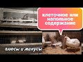 Клеточное и Напольное СОДЕРЖАНИЕ Бройлеров и Несушек. Плюсы и Минусы