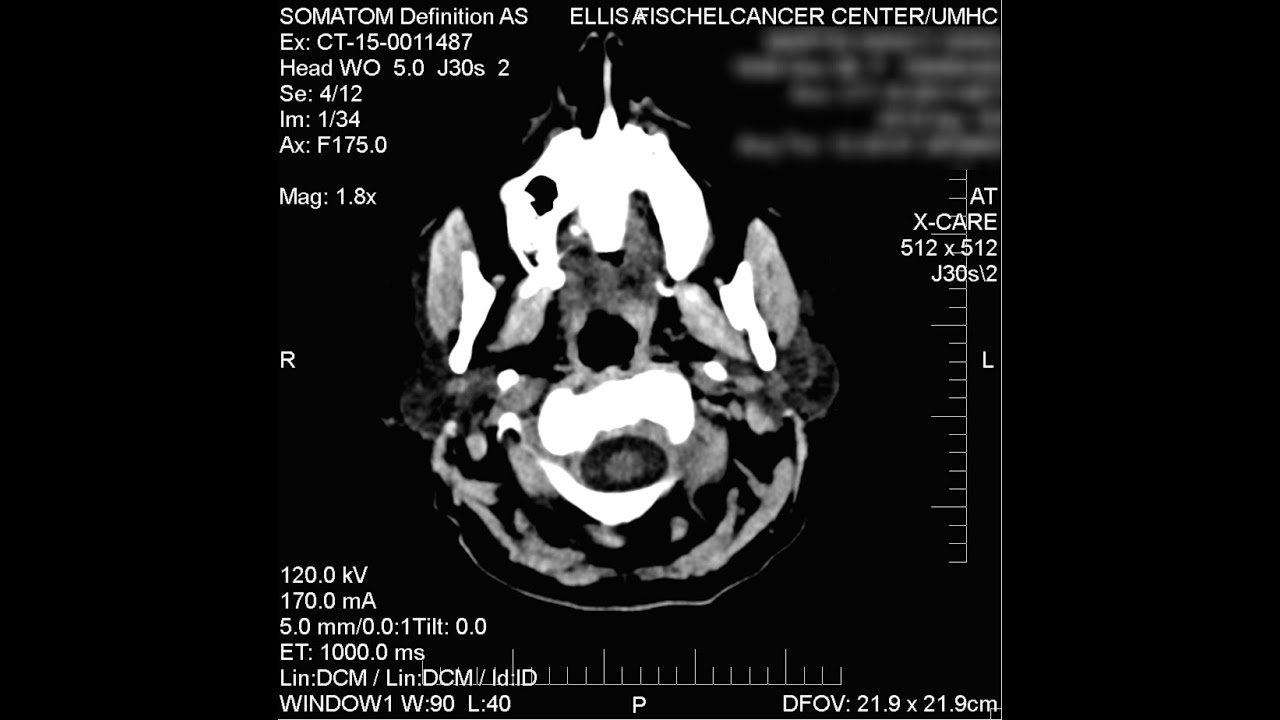 storyup gmbh She Just Went Away