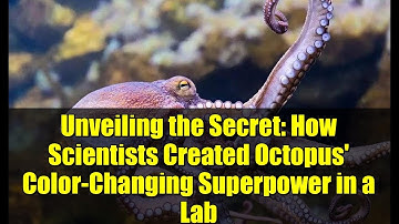 Unveiling the Secret: How Scientists Created Octopus