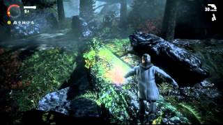 【実況】作家が強すぎて怖くないALAN_WAKE：05