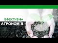 🔎 Як визначити забур'яненість поля та спланувати гербіцидний захист?🔎