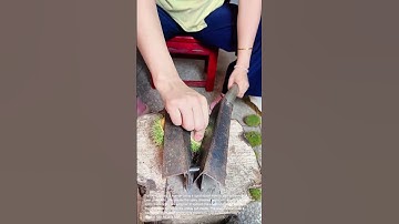 Chestnut Processing: Using a Manual Tool to Open and Peel Chestnuts