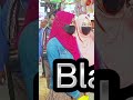 তারা কি প্রশ্নের উত্তর দিতে পারবে #shorts #tiktok #shortvideo #oratory #ruhul_amin