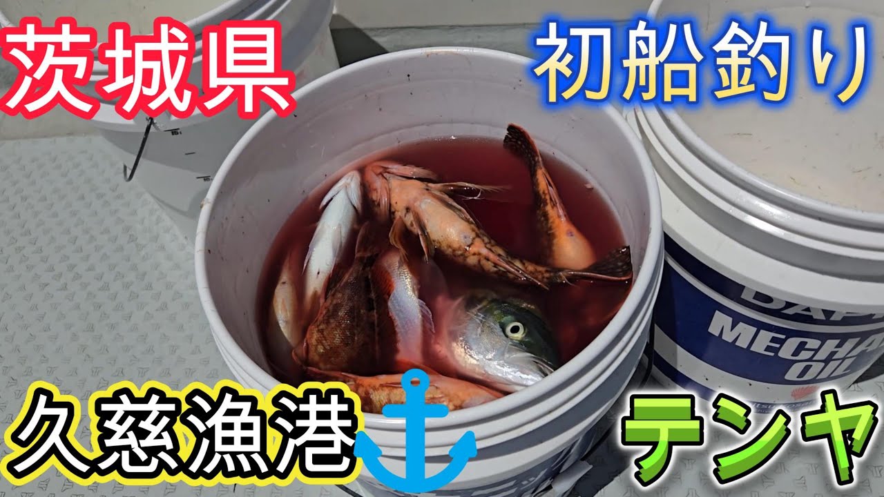 【茨城県久慈魚港⚓釣行第9弾(通算23回目)初の船釣り🎣】2025年7月19日(土)に行った釣り動画です🎥