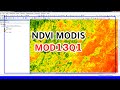 NDVI MODIS  | Download and Calculate NDVI MODIS MOD13Q1