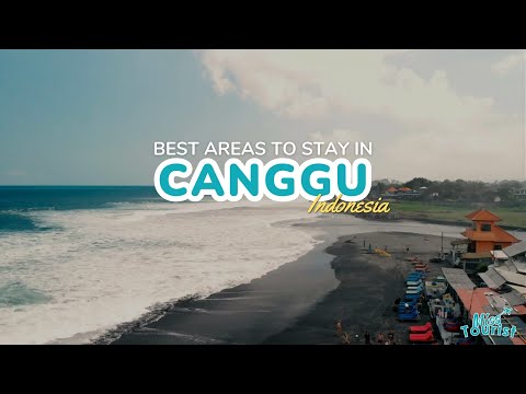 Reproductor de vídeo de YouTube