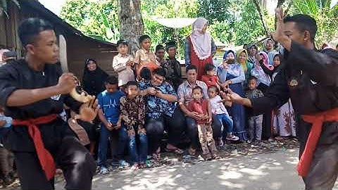 Atraksi jurus pencak silat cimande macan guling