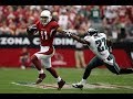 Larry Fitzgerald's Unforgettable 2008 NFC Championship Performance! | NFL Flashback Highlights