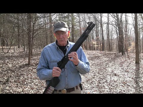 Beretta 1301 Woods Walk