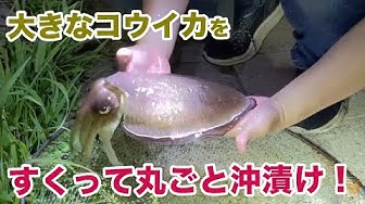 沖漬け Youtube 沖漬け Youtube