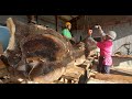 #23【製材】恐竜の足?! しまぐろ Jade camellia Sawing