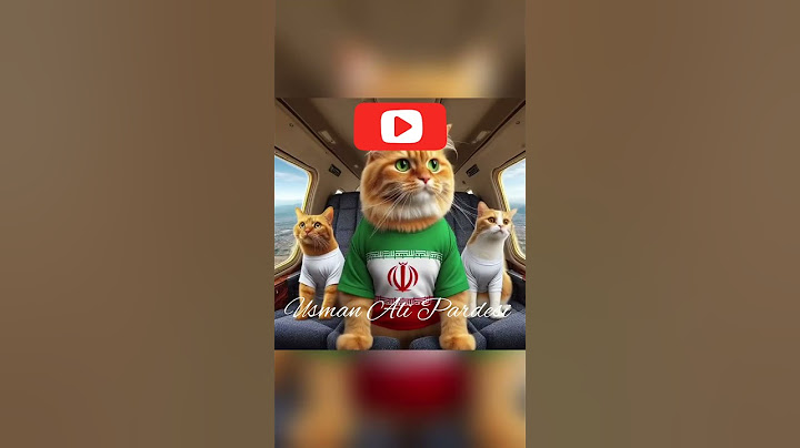 Cat Helicopter Crush #funny #cat #ytshorts #youtubeshorts #couplegoals