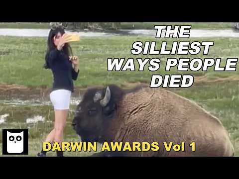 Video: Darwin Award: the most ridiculous deaths