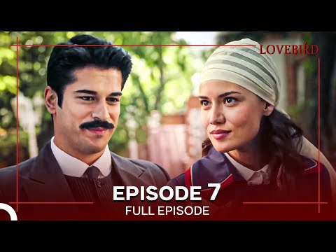 Lovebird Episode 7