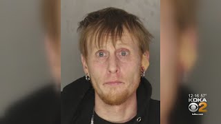 Man Arrested After Allegedly Leading Police On Chase Through Northern Allegheny County