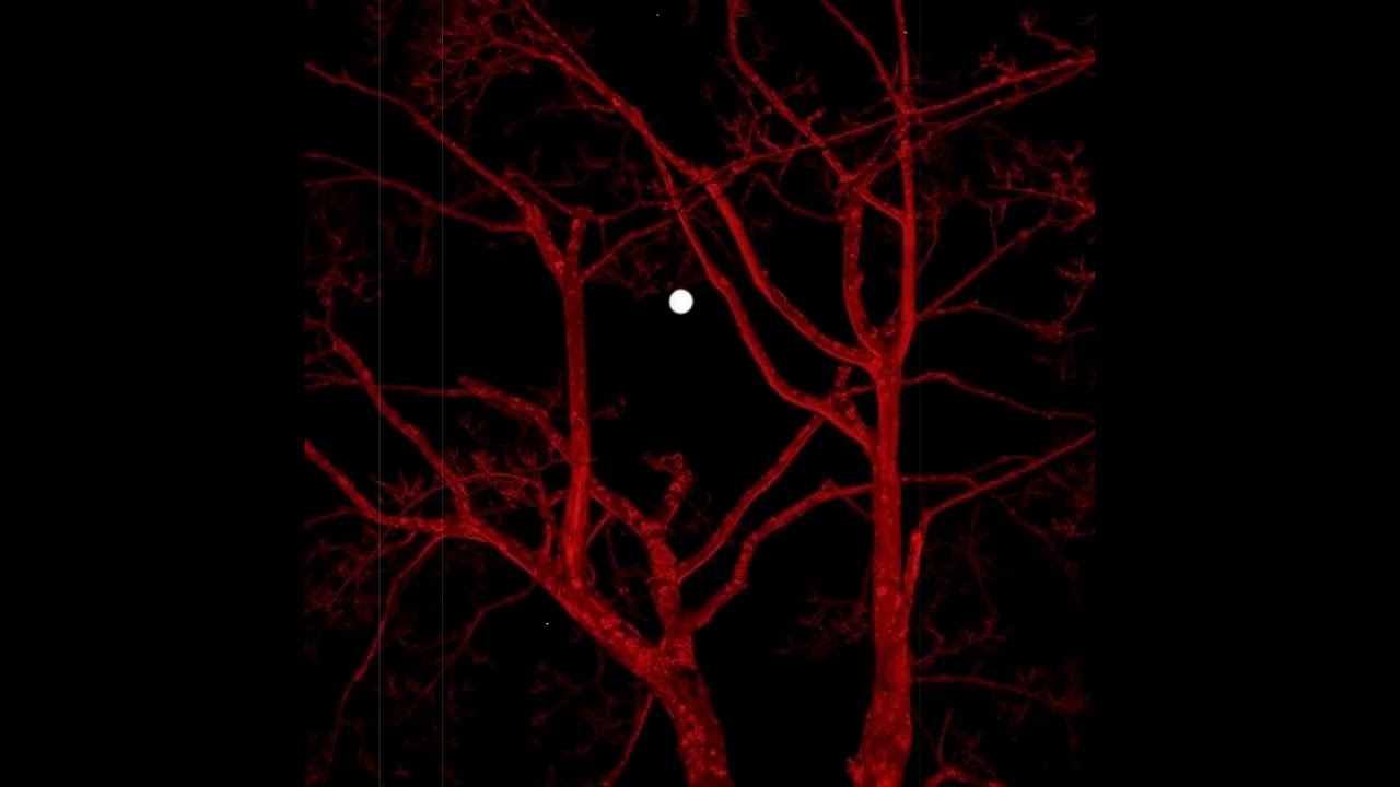 [FREE] Lil Peep Type Beat 