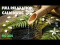 Forest Zen Oasis: Calming Bamboo Fountain, Ferns & Jasmine for Deep Relaxation