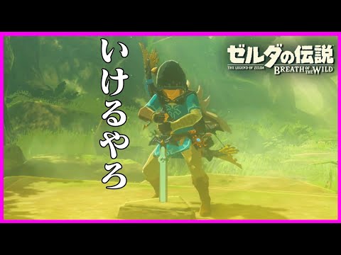 ハートが無いと抜けない剣？余裕でしょ『ゼルダの伝説 ブレス オブ ザ ワイルド』#16