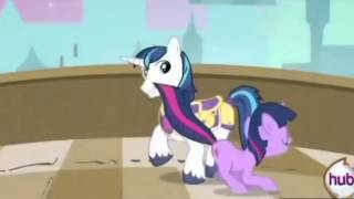Enchanted Pmv