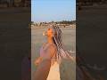 Box Braids on Indian Hair #boxbraids  #hairtransformation #braidinghairstyles #goa #youtubeshorts