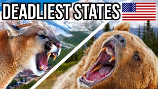 5 US States With The Deadliest Wildlife