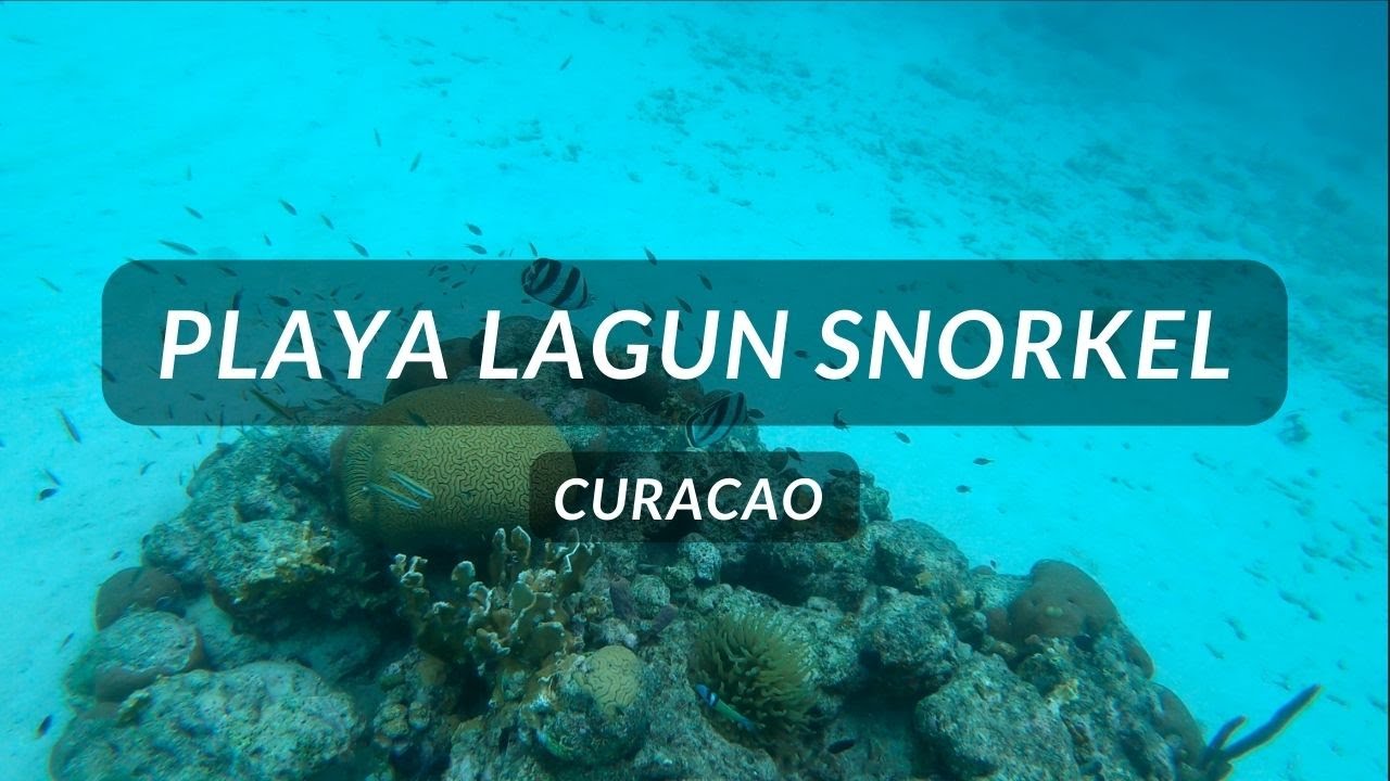 Playa Lagun Snorkel - Curacao 2022