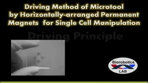 On-chip Robot Actuation by Horizontally-arranged Permanent Magnets for Single Cell Manipulation