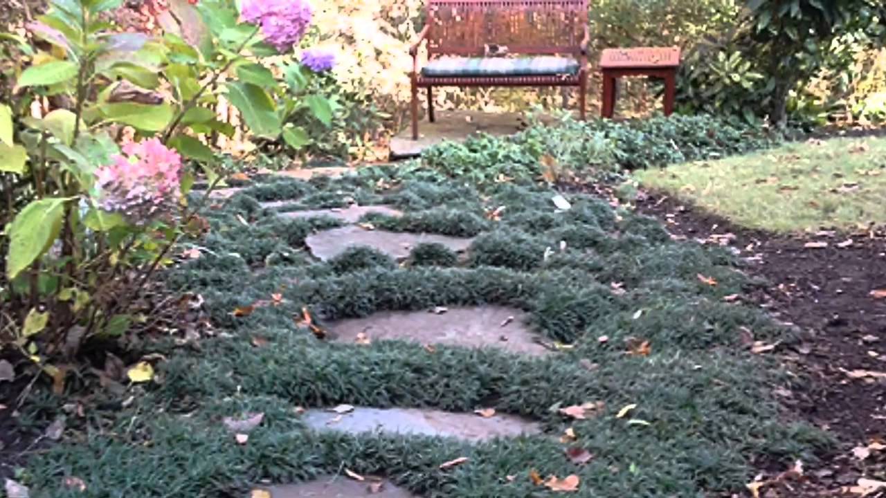 Peaceful Ponds of Charlotte YouTube