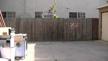 exi 450 zyx fbl testing 4h hoover