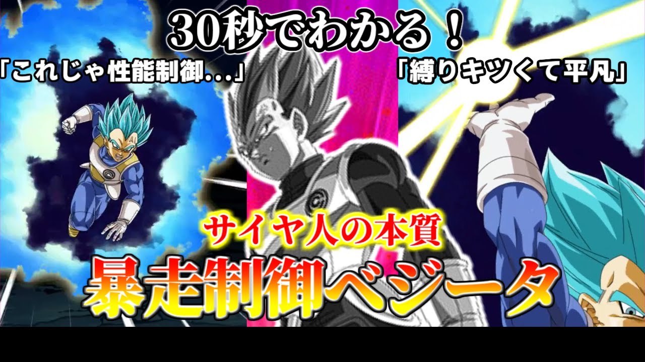 暴走の制御 暴走の制御