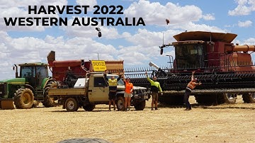 Wheat Harvest 2022 | Western Australia