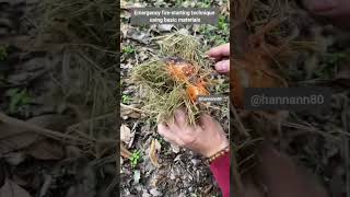 Turning Sparks Into Flame In The Wild.