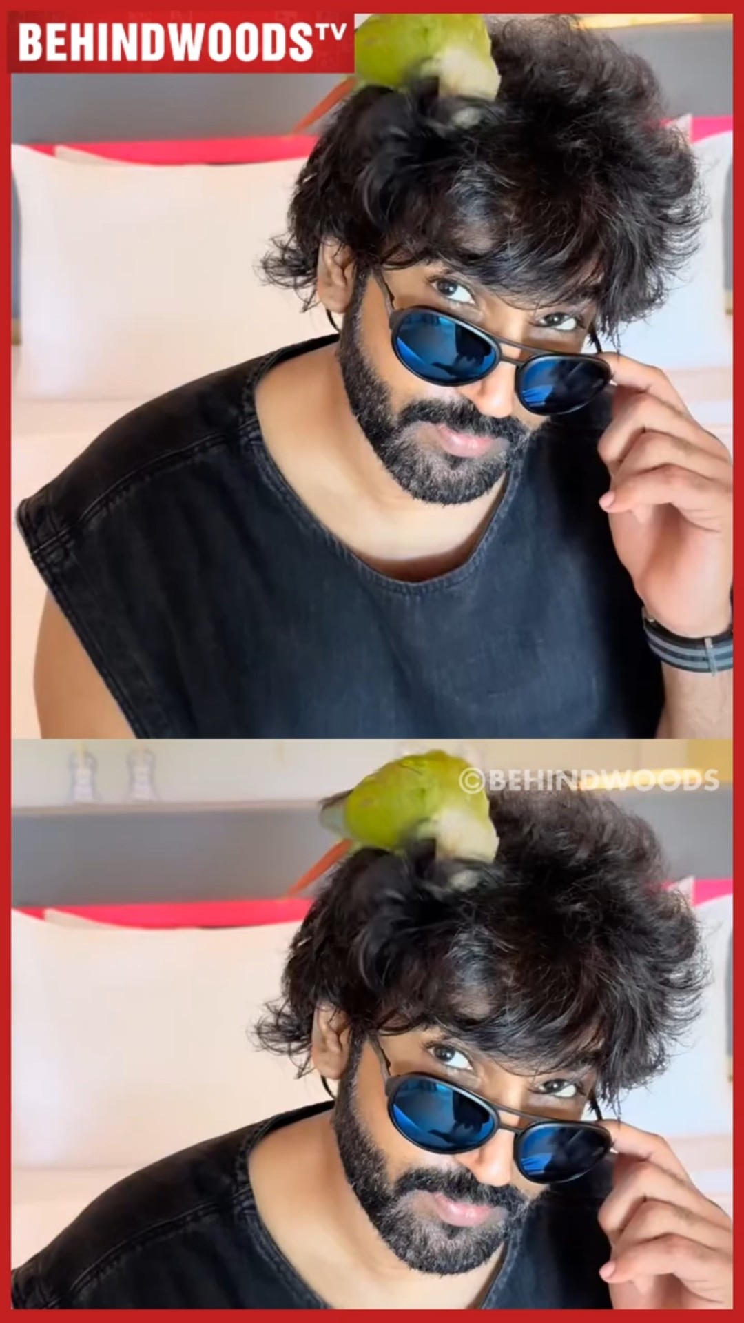 'Aadhi, கிளி உன் தலைல படுத்து தூங்கிடுச்சு' ? கலாய்த்த Nikki Galrani