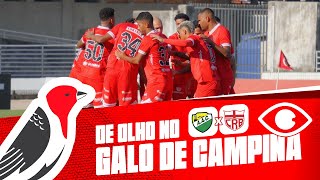 DE OLHO NO GALO DE CAMPINA - CORURIPE X CRB