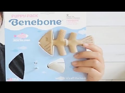HONEST review of the Benebone Puppy Chew Jack Salmon Flavor