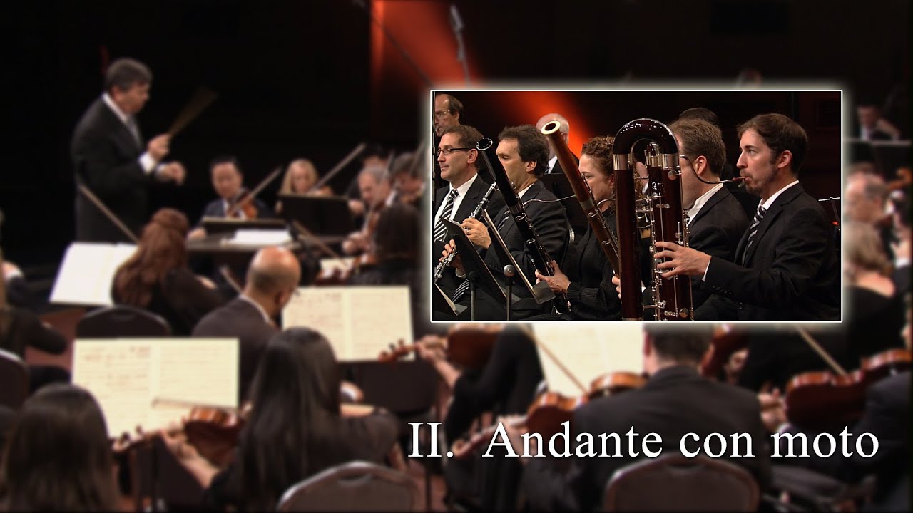 Beethoven 5th Symphony, Mov II & Bassoon) YouTube