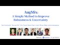 AugMix: Boosting Model Robustness & Uncertainty 🌟