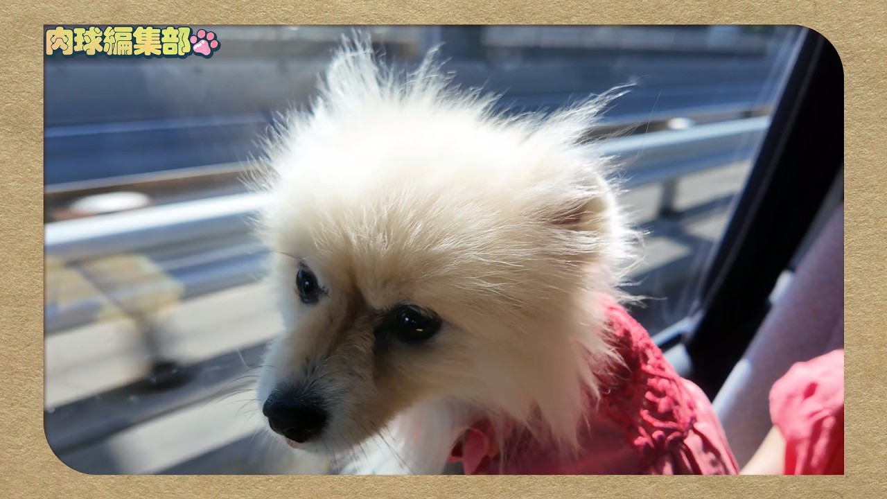 Nikukyu Editorial Department] Ep.1 A superb tour to enjoy with all
