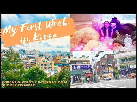 My First Week in Korea | KUISC Pt.2